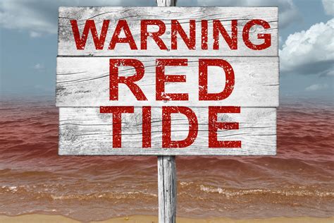 The Legal Implications of Florida's Red Tide Crisis