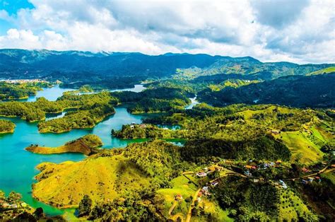 Colombia's Forest Has the Power (To Electrify You) | Ecosystems & Me | Trip to colombia, Types ...