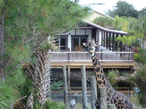 Brevard Zoo in Melbourne | VISIT FLORIDA