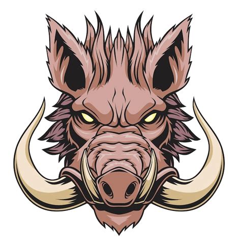 Premium Vector | Wild boar head mascot isolated on white