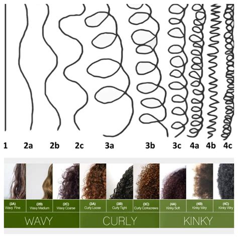 Whats your curl type? : curlyhair