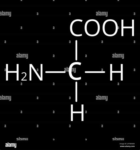 Glycine Amino Acid Structure