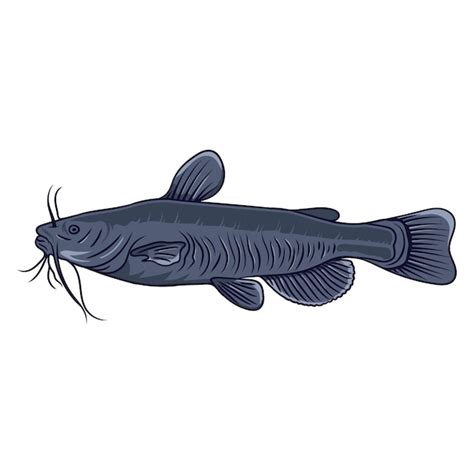 Premium Vector | Catfish. Fishing vector illustration