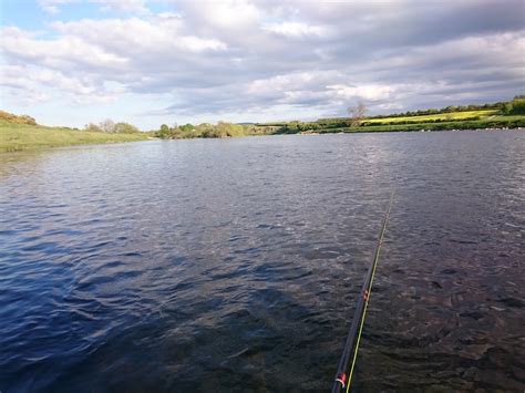 Salmon Fly: Salmon Fishing On The River Tweed, Scotland - Tay Salmon Fly