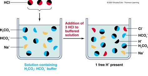 Acids, Bases and Buffers