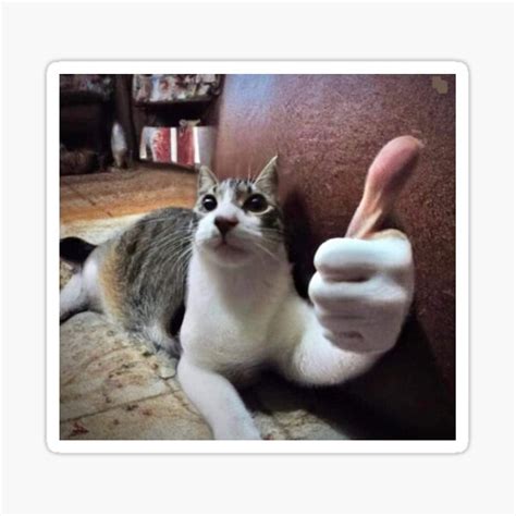 "Funny cat meme human hand thumbs up" Sticker for Sale by nickcosky | Redbubble