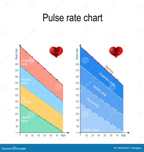 Pulse Rate Chart for Healthy Lifestyle. Maximum Heart Rate Stock Vector - Illustration of atria ...