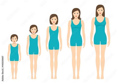 Women's body proportions changing with age. Girl's body growth stages ...