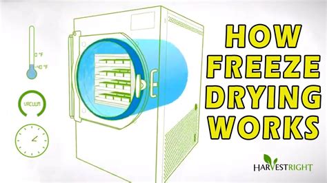 Homemade Freeze Dryer Plans - Homemade Ftempo