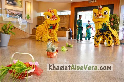 Tarian Singa | Persembahan Lion Dance Untuk Meraikan Tahun Baru Cina di ...