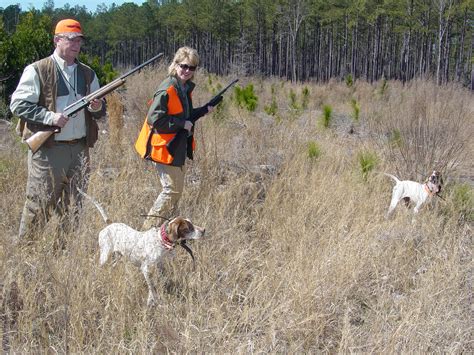 Blackwater | Guided Quail Hunting in SC Low-Country