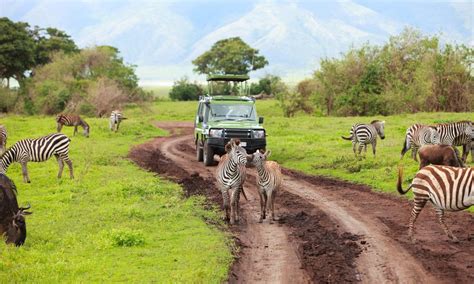 Ngorongoro Crater Tours | Ngorongoro Safari Tours | Cost & Price Package