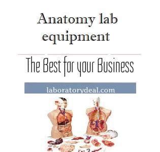 Anatomy lab equipment