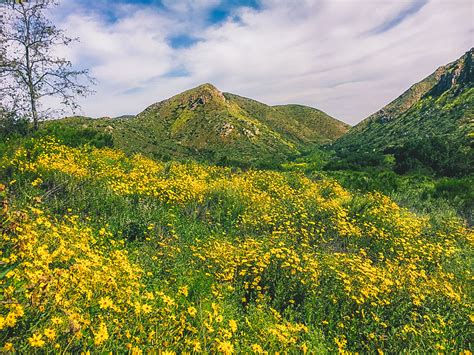 Mission Trails San Diego Walks - Exploring Our World