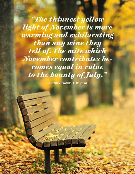 40 Inspiring November Quotes for Fall's Coziest Month