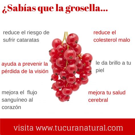 Grosellas Propiedades Y Usos En La Cocina Recetas De Cocina Casera | The Best Porn Website