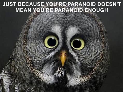 JUST BECAUSE YOU'RE PARANOID DOESN'T MEAN YOU'RE PARANOID ENOUGH ...