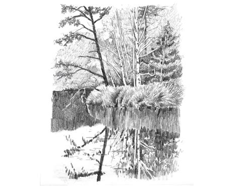 6 Ways to Spruce Up Your Landscape Pencil Drawings! | Artists Network