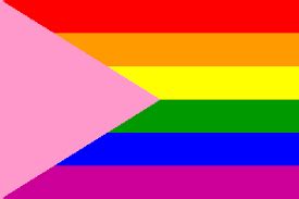 Pink Triangle Pride Official Store PN2001 - Asexual Flag™