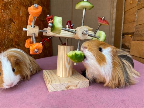 Guinea Pig Toy Cavy Toy Play Toy Guinea Pig Cage Guinea - Etsy UK