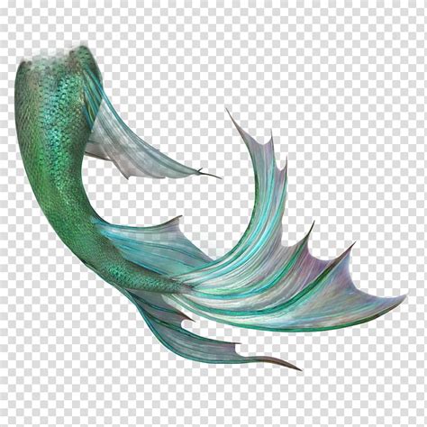 Mermaid Tail Png Clipart