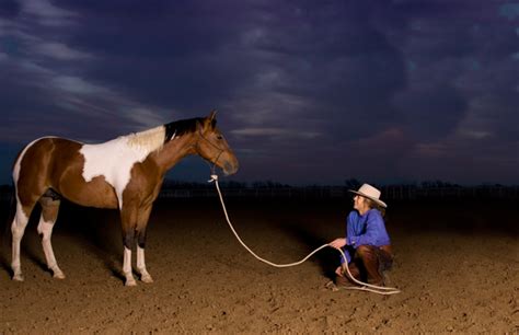 Beyond Natural Horsemanship