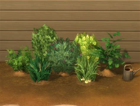 Garden Variety by plasticbox at Mod The Sims » Sims 4 Updates | Sims 4 update, Sims 4, Sims