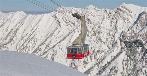 Snowbird Resort: The Complete Guide - Alta Chalets