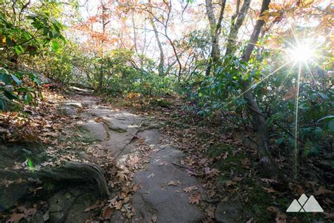 Vogel State Park Coosa Backcountry Trail