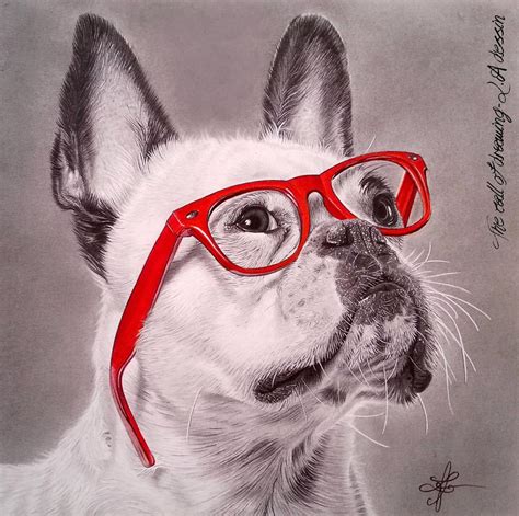 Awesome Pets Drawing Art - XciteFun.net