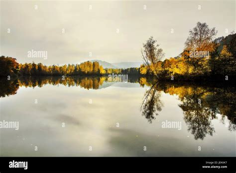 nature reserve, Rehlingen, Saarland, Germany Stock Photo - Alamy