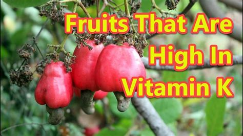 Top 10 Fruits Rich In Vitamin K - YouTube