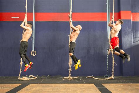 Group Of Athlete Climbing The Rope On A Gym Stock Photo - Download Image Now - Gym, Hanging ...