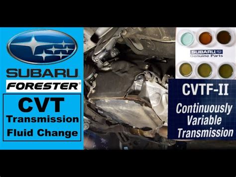 subaru cvt transmission fluid change cost - charis-jolliff