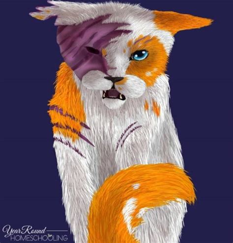 How to Draw a Scarred Cat Using Digital Media - Year Round Homeschooling