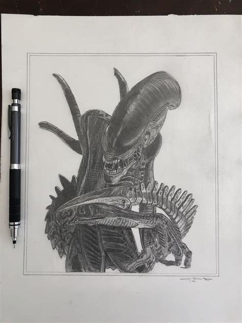 Xenomorph, pencil drawing by me. : r/LV426