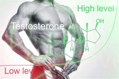 Best Testosterone Boosters Supplements (2021): Increase sex drive ...