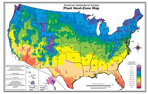 Live Christmas Trees, Christmas Is Over, Plant Classification, Plant Hardiness Zone Map, Heat ...