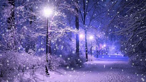 HD wallpaper: street light, snow, snowing, winter, park, nature ...