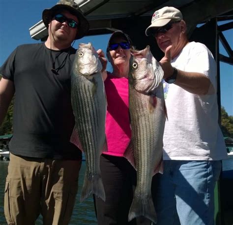 Clinch River Lake in East Tennessee - StriperFun Guide Service