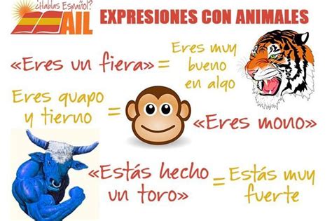 Imagenes de animales con refranes - Imagui