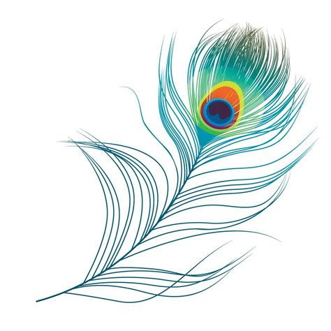 Peacock Feather Outline Svg