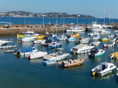 Great service at The Harbour Lights - Review of Paignton Harbour, Paignton, England - Tripadvisor