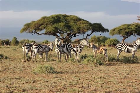 5 Iconic Landmarks in East Africa: Treasures of the Region ...