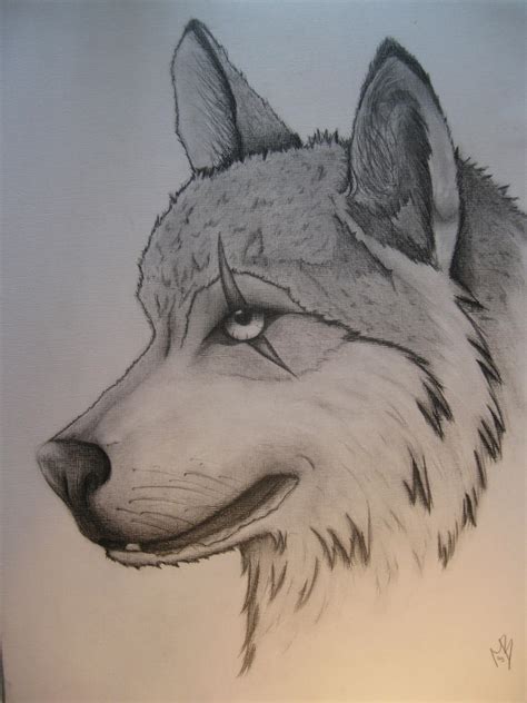 Cool Easy Wolf Drawings