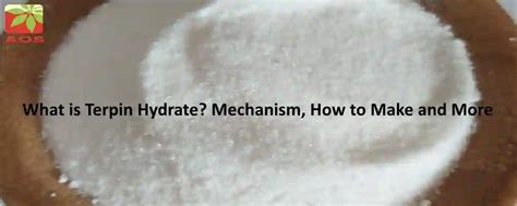 What is Terpin Hydrate - Interaction, How to Make | Blog Online