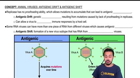 Genetic Drift Vs Antigenic Drift | sincovaga.com.br