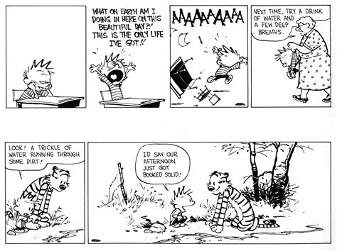 Calvin & Hobbes