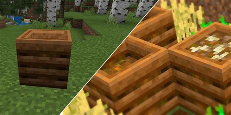 How To Farm Bone Meal In Minecraft