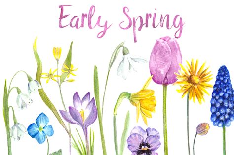 Watercolor Early Spring Flowers Clip Art Set (243759) | Illustrations | Design Bundles